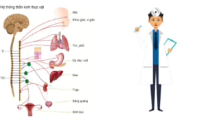 Xét nghiệm rối loạn thần kinh thực vật