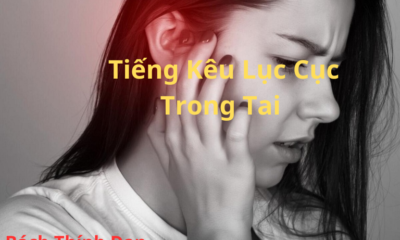 Tiếng kêu Lục Cục Trong Tai