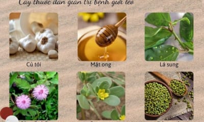 Chữa Giời Leo Bằng Phương Pháp Dân Gian